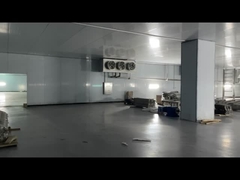 Daging beku Daging sapi Ayam Makanan laut Kamar dingin