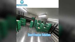 Beef Blast Freezer Berjalan Di Ruang Freezer