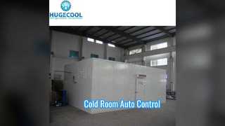 Kontrol Otomatis Ruang Dingin Freezer 40KG M3