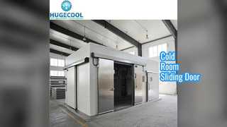 Pintu Geser Ruang Dingin Industri untuk Pendingin Freezer
