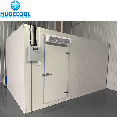 Customized new cold storage for frozen meat and seafood