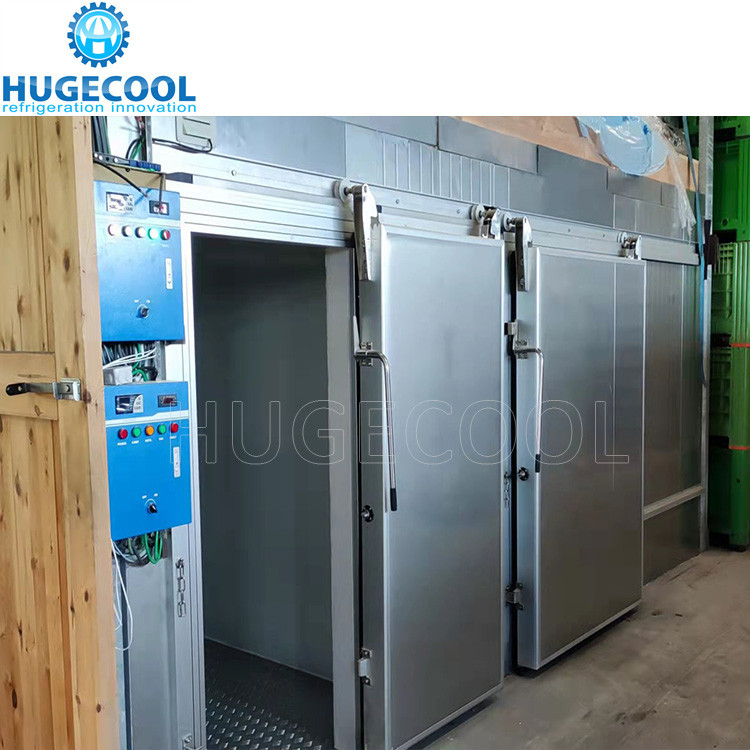 Industrial freezer room cold storage room meat ice cream freezer cold freezing