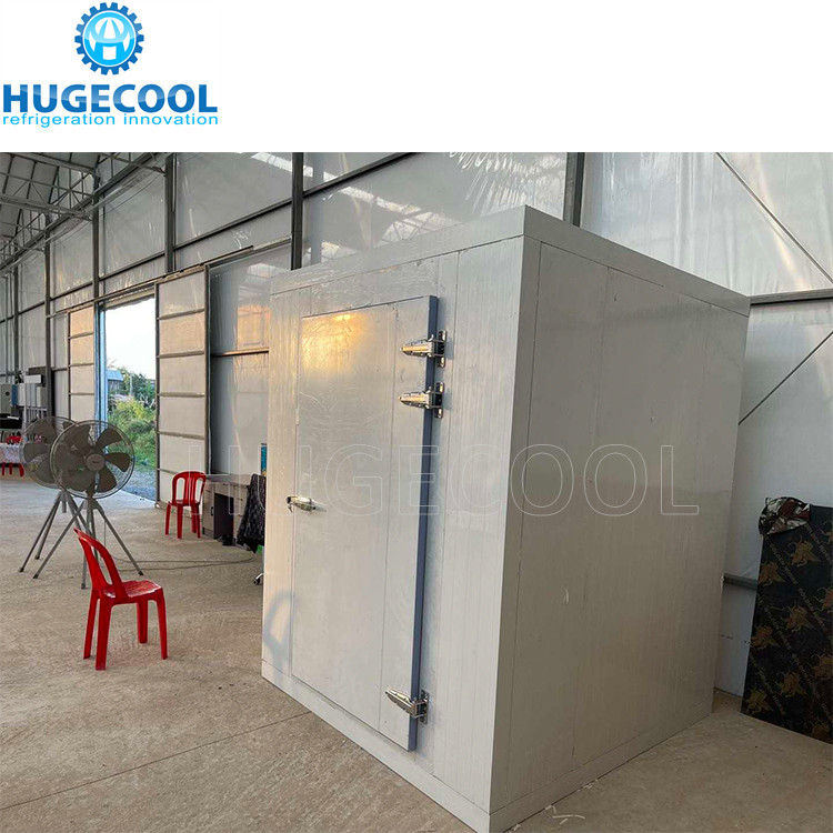 Customized Cold Room Hinged Door With Aluminum Frame