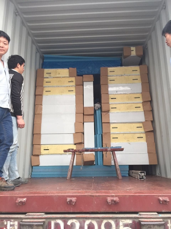 Medicine Cold Room for Refrigerant Freon Meat and Fish Storage in Restaurant