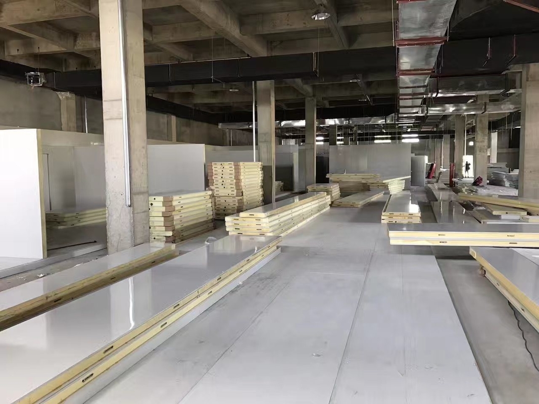 Medicine Cold Room for Refrigerant Freon Meat and Fish Storage in Restaurant