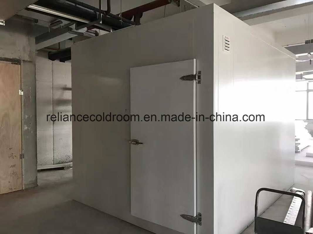 Medicine Cold Room for Refrigerant Freon Meat and Fish Storage in Restaurant