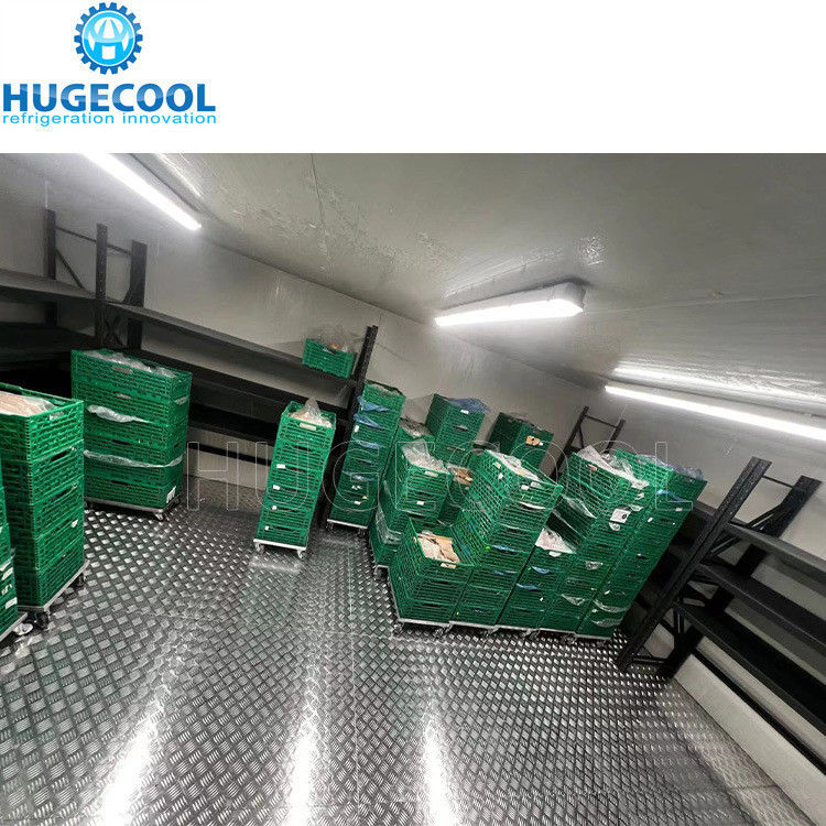 Small Size Cold Storage Room Price Refrigerated Cold Room for Meat and Seafood