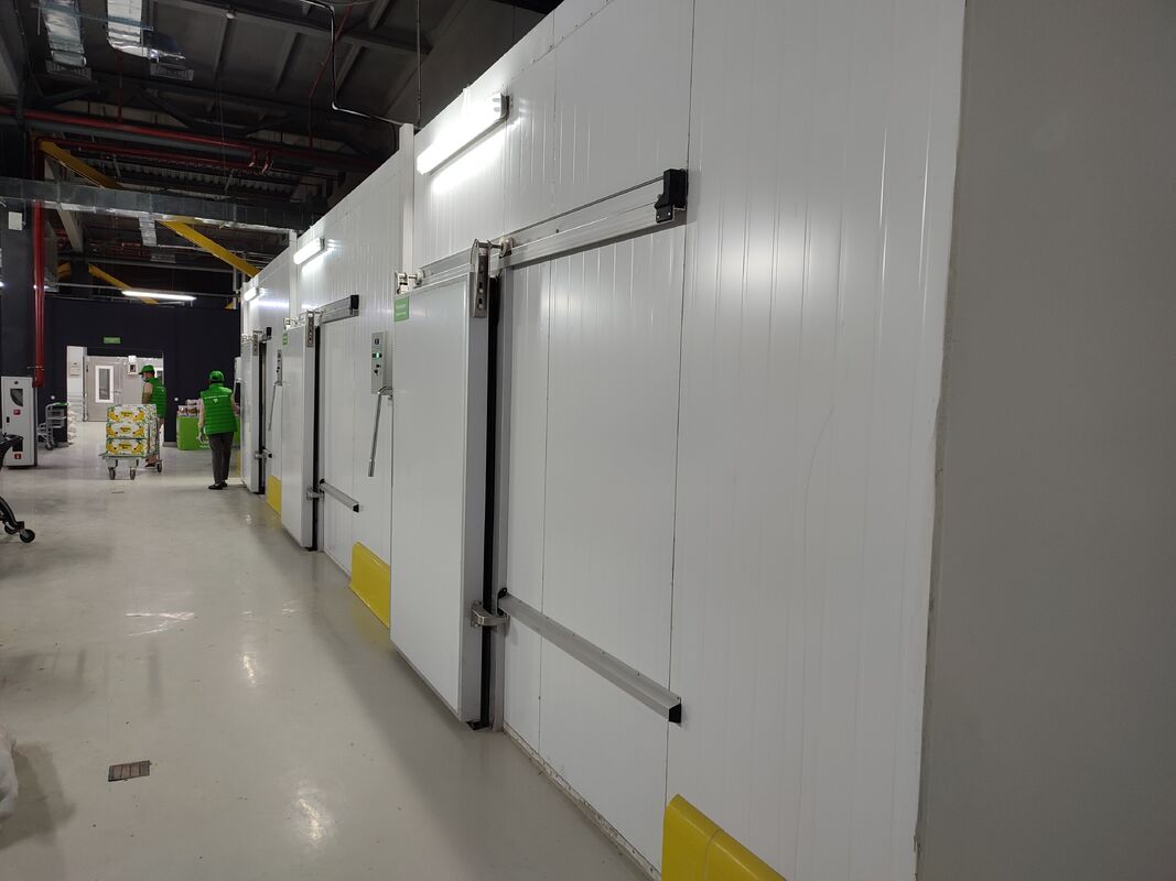 Modular Panel Design Cold Room with Stable Temperature Control and Flexible Layout for Industrial Use
