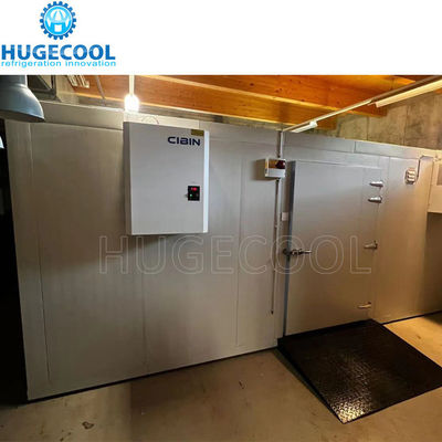 Walk in Freezer Cold Chamber with Assembled Structure and 220V/380V/400V/440V Voltage